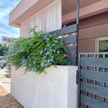 Apartman Toni * Makarska